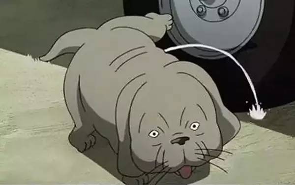 95号汽油比92号汽油燃烧好吗,95号汽油车用92号有哪些危害