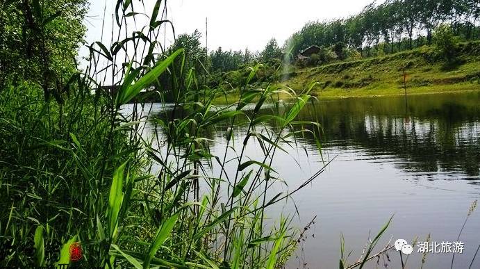 荆州古城历史文化旅,领略荆州文化