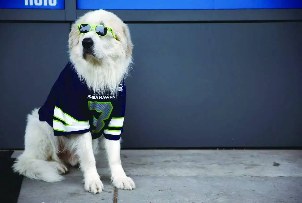 今年夏季服装最流行什么样的,今年最流行的春季服饰是什么样的