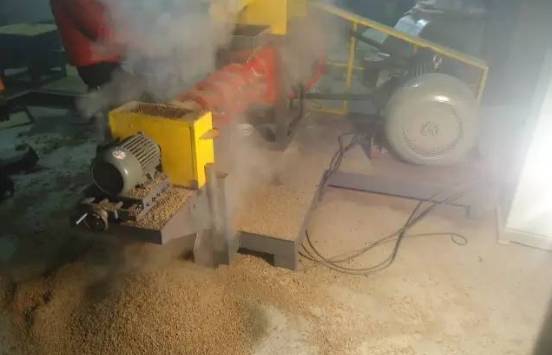 看完速度删!一篇只有宠物业内人士知道的内幕!