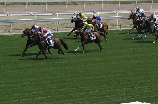 成都国际级体育赛事,成都打造世界体育赛事名城