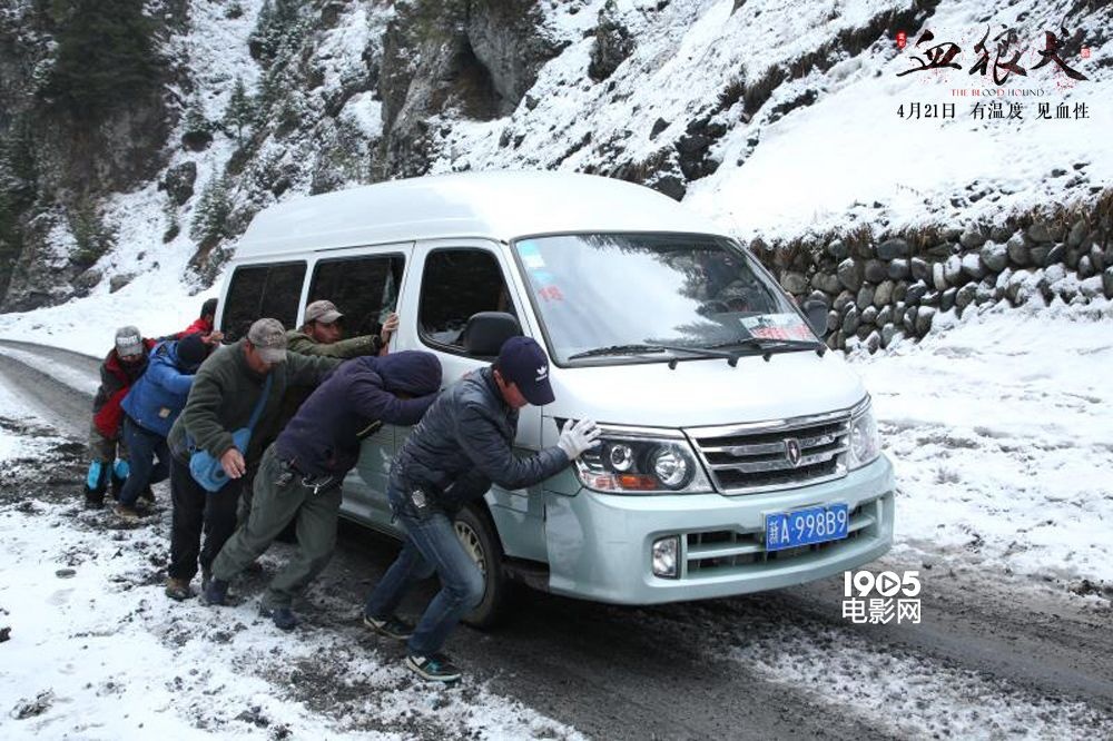 血狼犬相关的电影,血狼犬超清