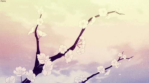 约起│2017年魏县梨花节,旅游路线及最佳观赏时间出炉!