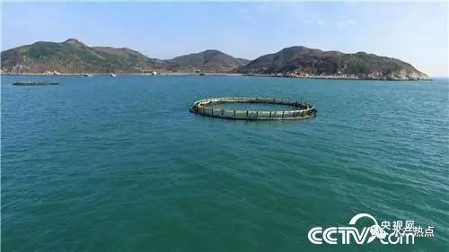 养鱼赚钱的真实案例,如何靠养鱼赚钱