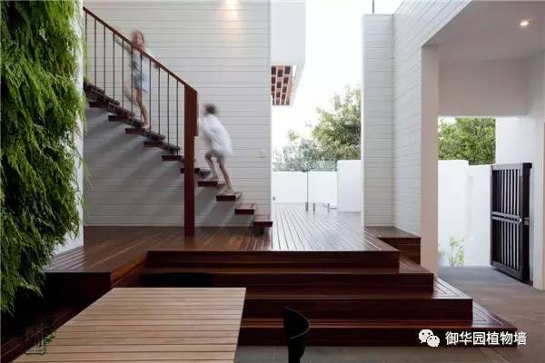 植物墙居家,特色植物墙