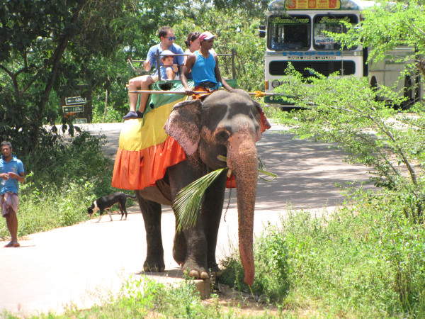 斯里兰卡个人旅游攻略,斯里兰卡华人旅游攻略视频