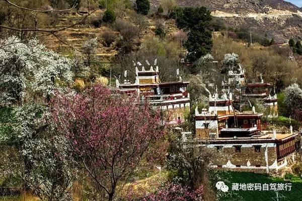 成都出发—川藏南线-北线-丹巴-色达五明佛学院-亚青寺-德格印经院-昌都-然乌湖-来古冰川-波密-林芝-拉萨经典十二日游