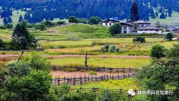 成都出发—川藏南线-北线-丹巴-色达五明佛学院-亚青寺-德格印经院-昌都-然乌湖-来古冰川-波密-林芝-拉萨经典十二日游