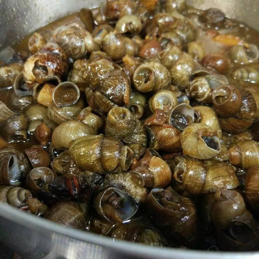 鲜螺蛳清洗,商用炒螺丝如何炒又嫩又好吸