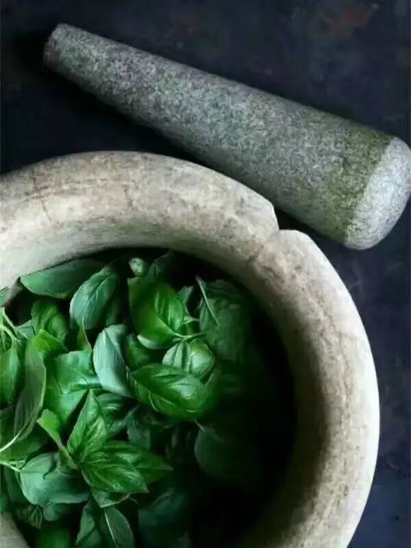 沈从文时间经典语录,沈从文时间