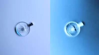 剁手必买的化妆品,剁手指南