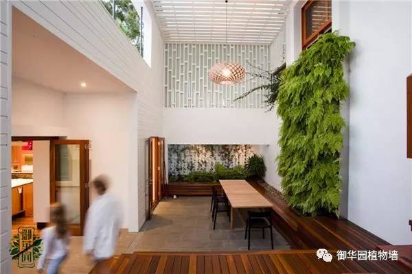 植物墙居家,特色植物墙