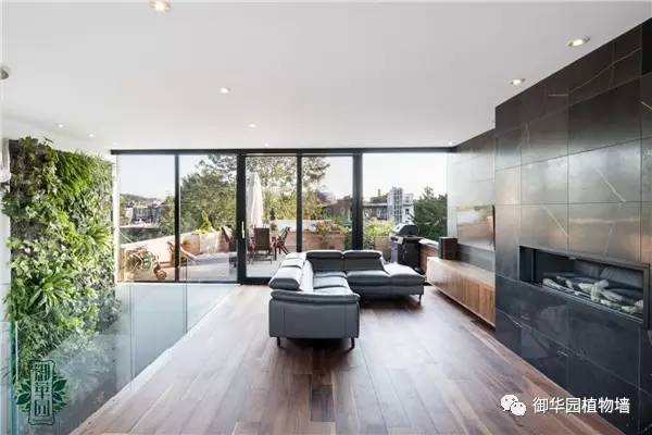 植物墙居家,特色植物墙