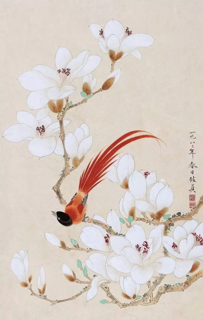 玉兰花儿童绘画,玉兰花绘画作品命名