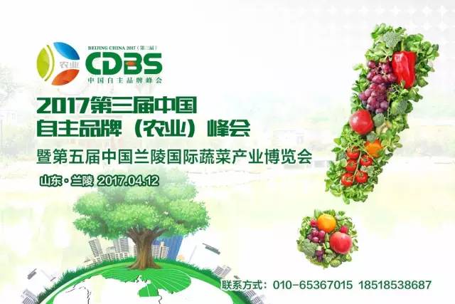 房价今年怎么走向,2017房价走势视频