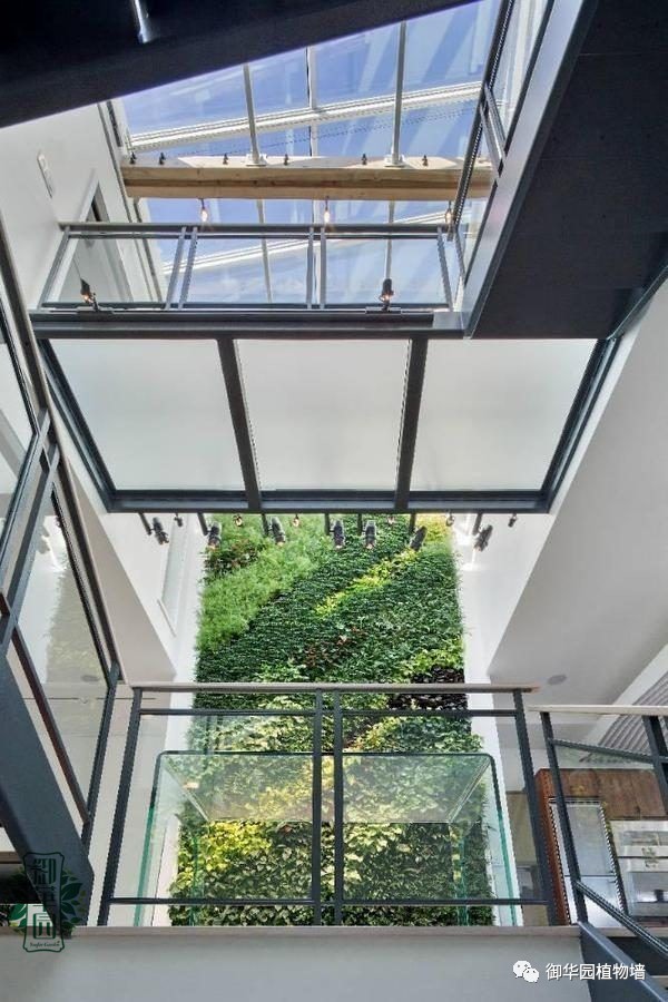 植物墙居家,特色植物墙