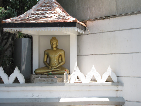 斯里兰卡个人旅游攻略,斯里兰卡华人旅游攻略视频