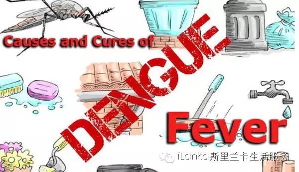 斯里兰卡登革热死亡率,斯里兰卡登革热症状