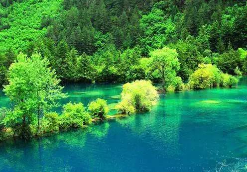 青海一年四季的变化,青海的冬天是什么样的