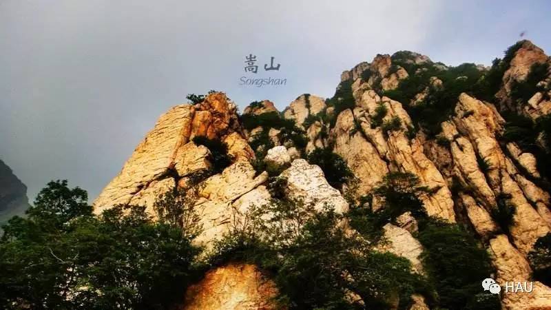 农大朗读者｜第一期：家乡，带不走的只有你