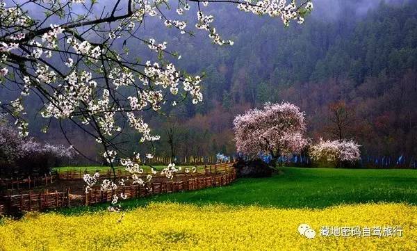 成都出发—川藏南线-北线-丹巴-色达五明佛学院-亚青寺-德格印经院-昌都-然乌湖-来古冰川-波密-林芝-拉萨经典十二日游
