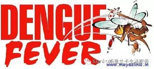 斯里兰卡登革热死亡率,斯里兰卡登革热症状