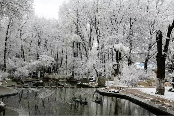 青海一年四季的变化,青海的冬天是什么样的