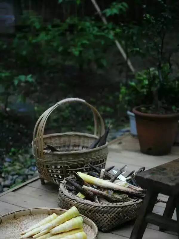 沈从文时间经典语录,沈从文时间