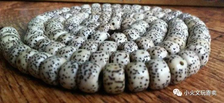 分享买过的菩提,两年多星月菩提有点花