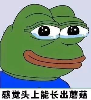 终于天晴了!世界那么大,家乡那么美,我想去看看!比如新化这个未被发现的古村落!
