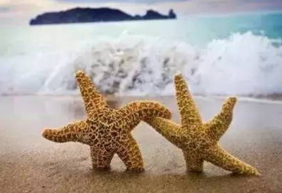 威海赶海攻略,威海冬季赶海攻略