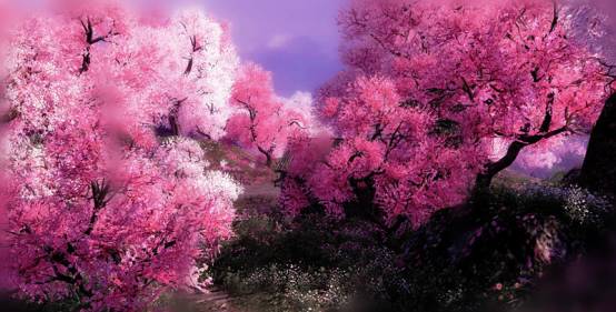 皮试输液过敏反应急救流程,输液过敏反应急救流程