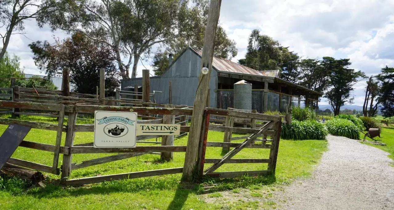 图说：在澳洲的日常（2）｜陈秋平