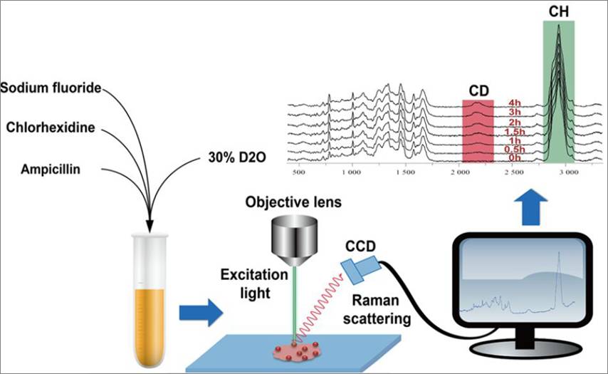 科学家开发抗菌药效评价新技术