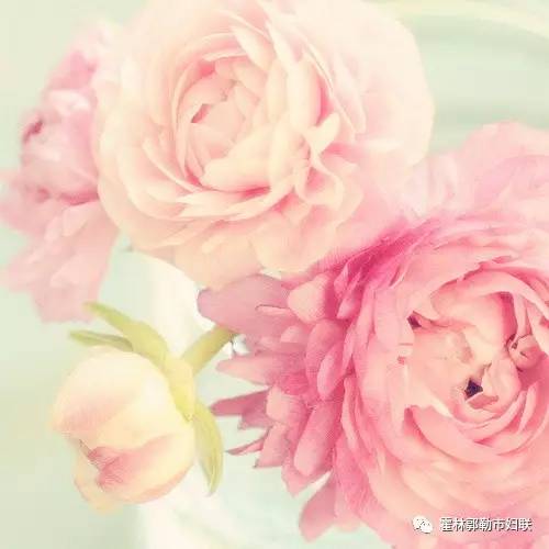 霍市妇联举办“情暖三月关注健康”女性疾病预防与调理知识讲座