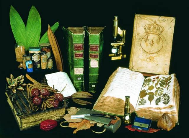 100本好书(爱一本书像爱一个人)