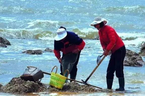 威海赶海攻略,威海冬季赶海攻略