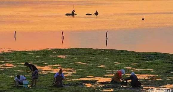 威海赶海攻略,威海冬季赶海攻略