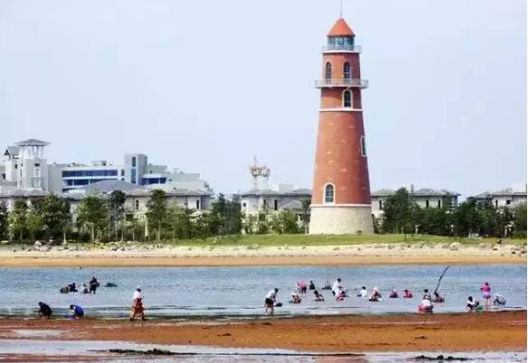 威海赶海攻略,威海冬季赶海攻略