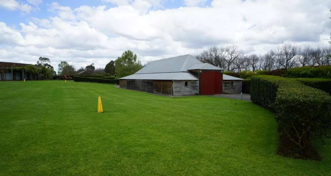 图说：在澳洲的日常（2）｜陈秋平