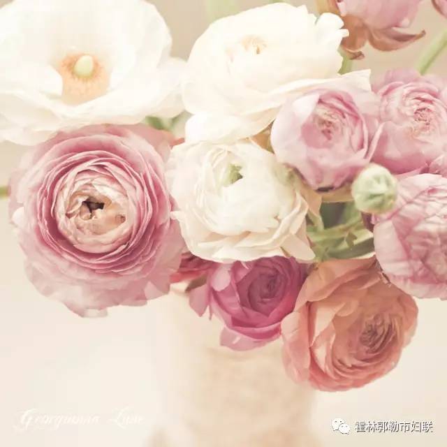 霍市妇联举办“情暖三月关注健康”女性疾病预防与调理知识讲座