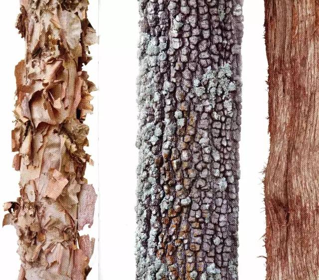 100本好书(爱一本书像爱一个人)