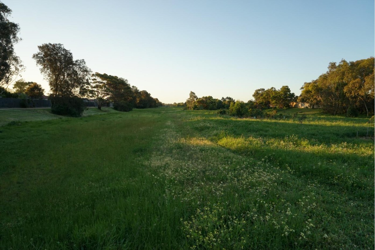 图说：在澳洲的日常（2）｜陈秋平