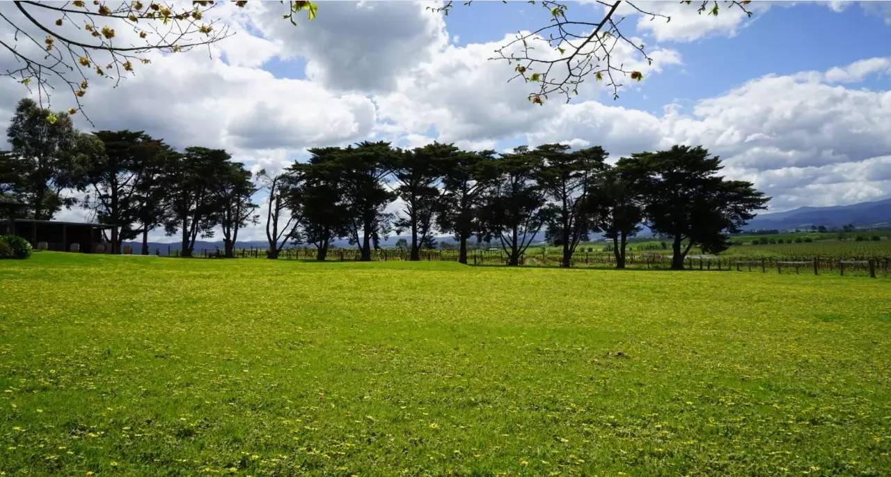 图说：在澳洲的日常（2）｜陈秋平