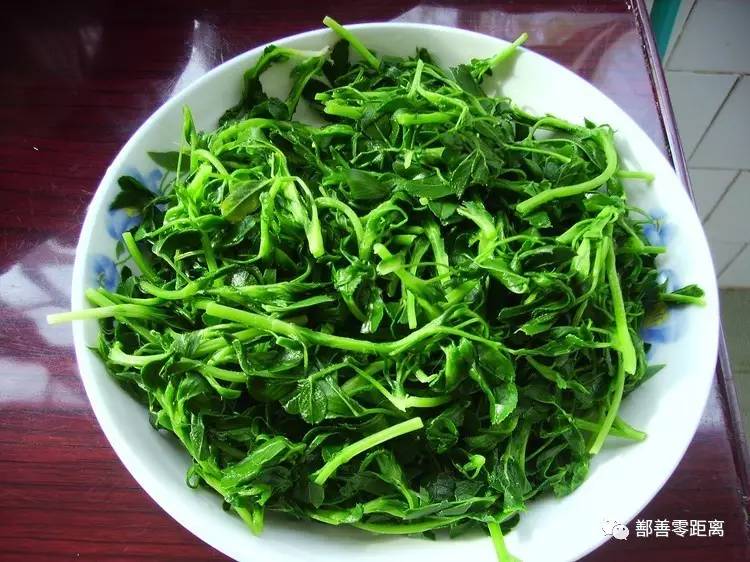 鄯善沙漠景区,鄯善旅游景点攻略大全最新