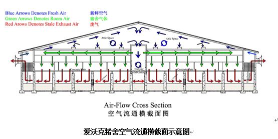 现代化育肥猪舍怎么建,低成本猪舍的建造