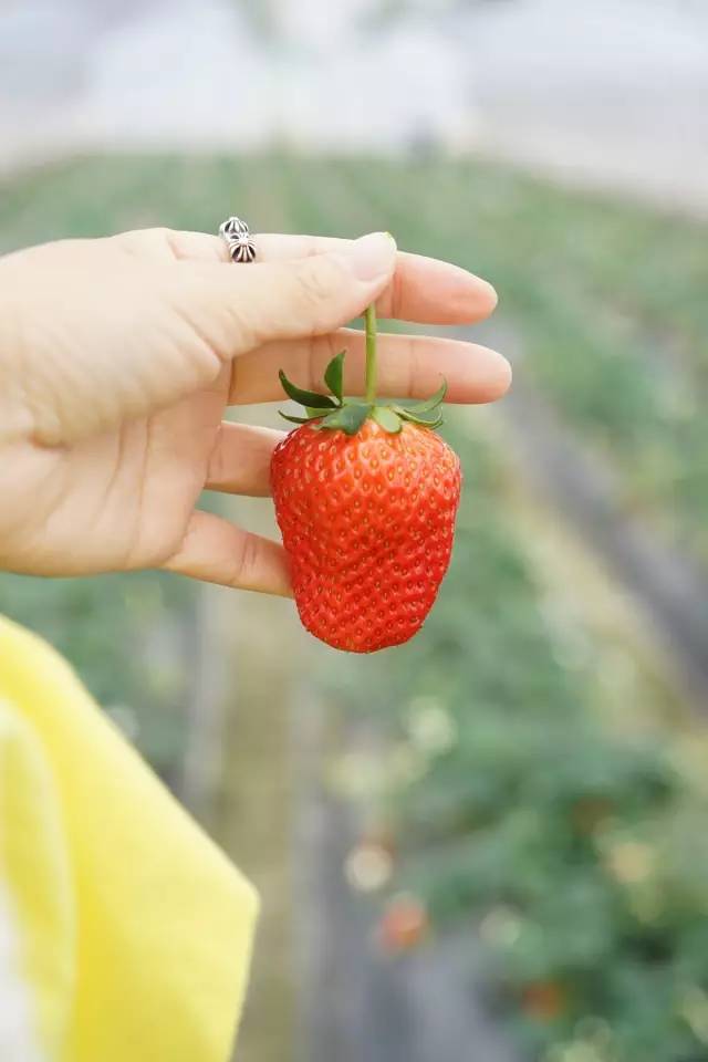 国色天相倾国倾城,“阳澄湖”牵手“太湖”,在相城遇见最美的你