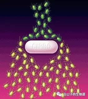 最致命的病菌有哪些,世界上最危险的病菌