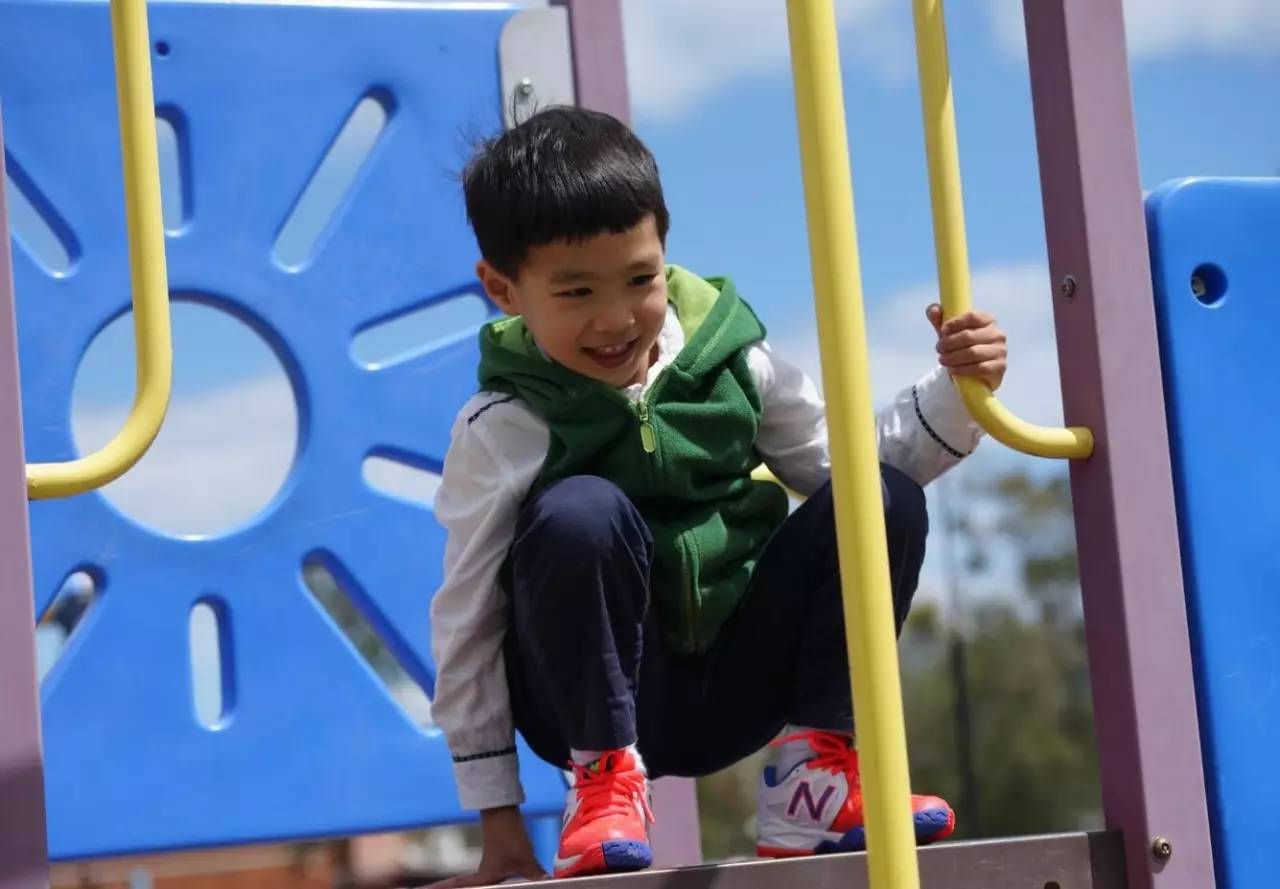 图说：在澳洲的日常（2）｜陈秋平