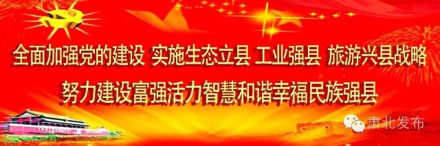全市基层党建观摩圆满成功,基层党建观摩交流